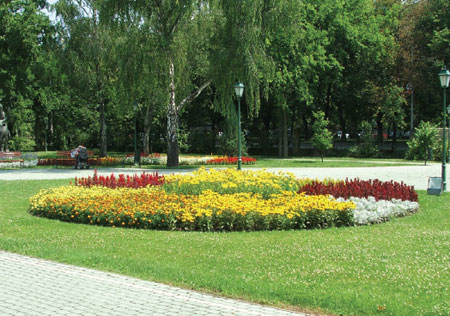 Judit KOROKNAI – University of Debrecen for the “Blooming Great Plain” – Professional Conference and Show of Varieties
